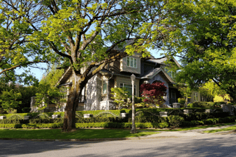 home in shade