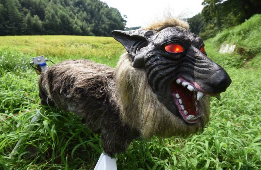 super-monster-wolf.jpg.860x0_q70_crop-scale