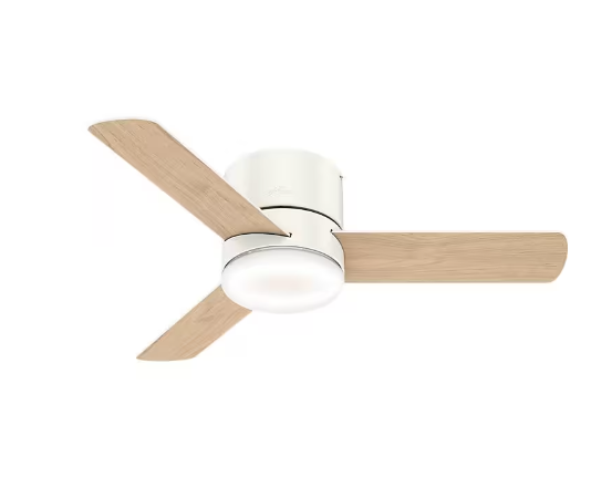 Ceiling Fan